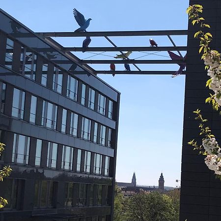 Hotel Gaestehaus Susanne Pfaffmann Landau in der Pfalz Zewnętrze zdjęcie