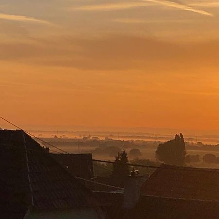 Gaestehaus Susanne Pfaffmann Landau in der Pfalz Zewnętrze zdjęcie