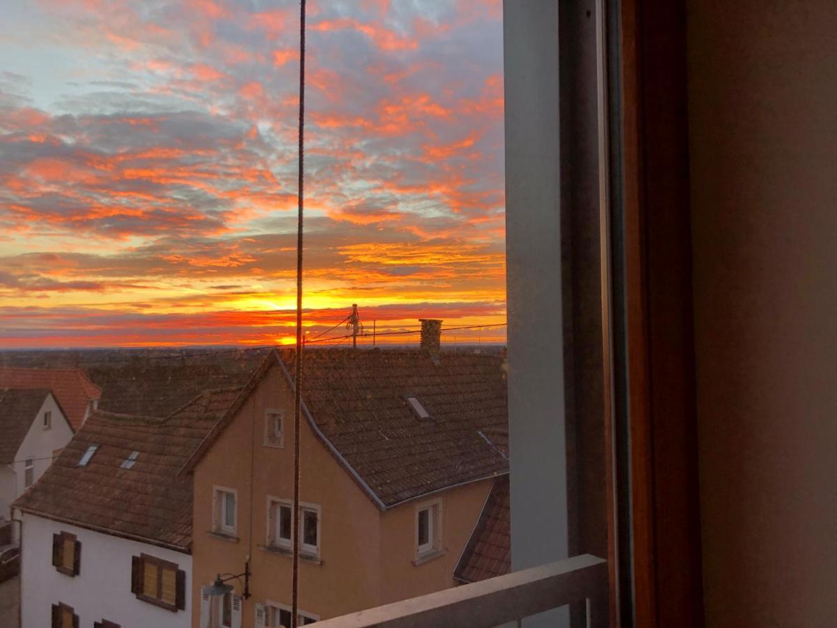 Gaestehaus Susanne Pfaffmann Landau in der Pfalz Zewnętrze zdjęcie