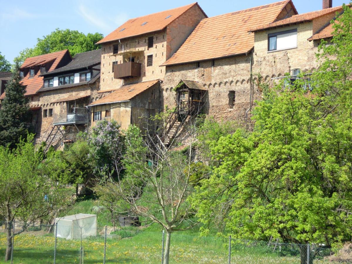 Hotel Gaestehaus Susanne Pfaffmann Landau in der Pfalz Zewnętrze zdjęcie