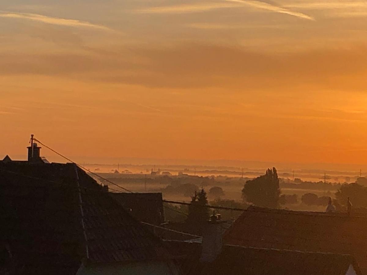 Hotel Gaestehaus Susanne Pfaffmann Landau in der Pfalz Zewnętrze zdjęcie